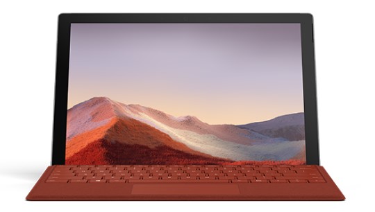 嘉鱼清洁和维护 Surface
